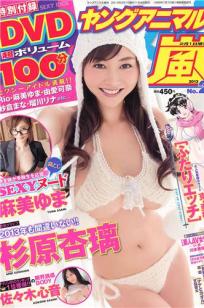 [Young Animal Arashi]高清写真图2013 No.01 恵比寿マスカッツ 杉原杏璃 佐々木心音 麻美ゆま封面